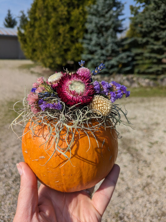 Dried Floral Pumpkin Workshop - Wed October 2